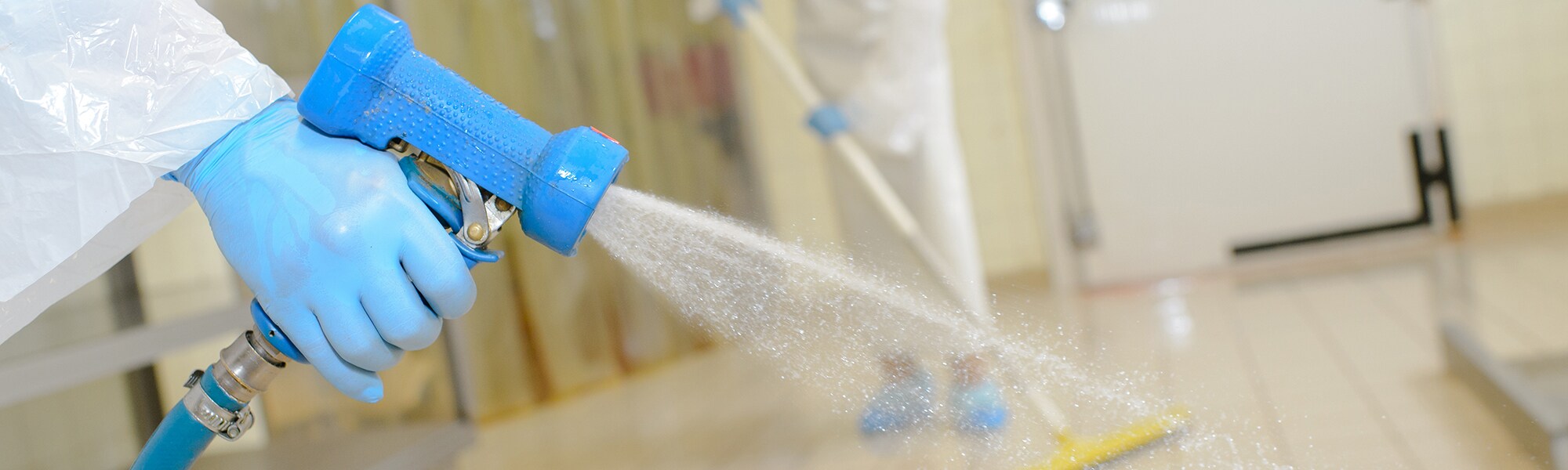 Floor Cleaning in a meat processing plant