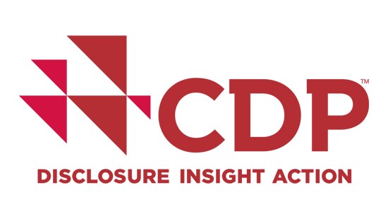 CDP logo