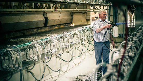 Farmer using a foamer cleaner in a milking parlor